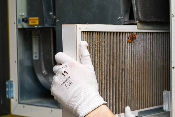 Best Local Air Duct Cleaning Services  in Arnaudville, LA